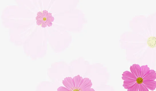 花花 花瓣背景元素