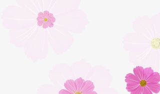 花花 花瓣背景元素