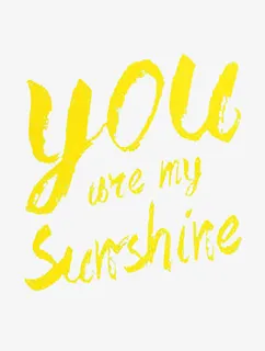 sunshine 文字图标免抠