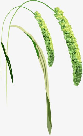 绿色圆点拼接芦苇免抠