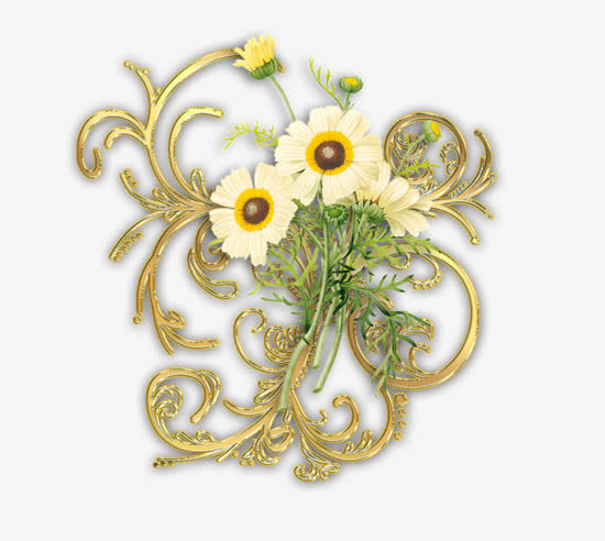 鲜花金边框免抠