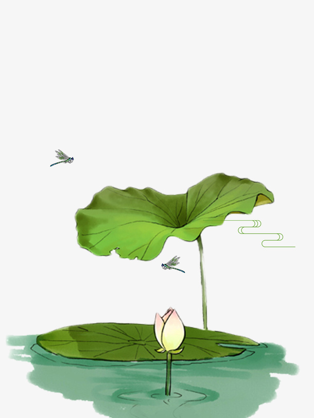 荷花 莲花  蜻蜓免抠