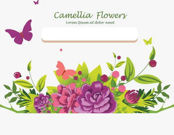 邀请框插图图标轮廓花瓣免抠