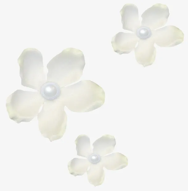 白色花朵免抠