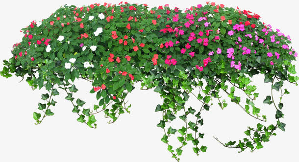 小花丛免抠