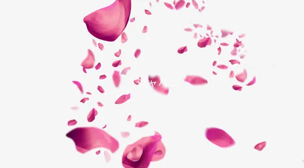 漂浮樱花花瓣免抠