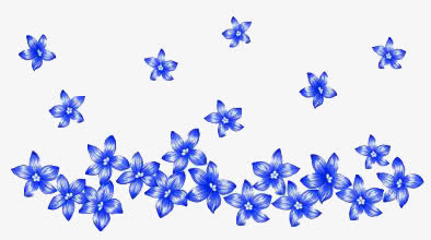 小兰花免抠