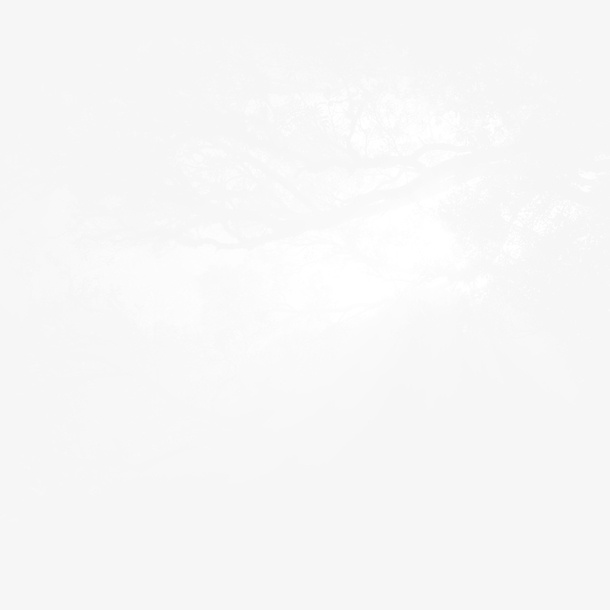 树木中穿透的阳光免抠