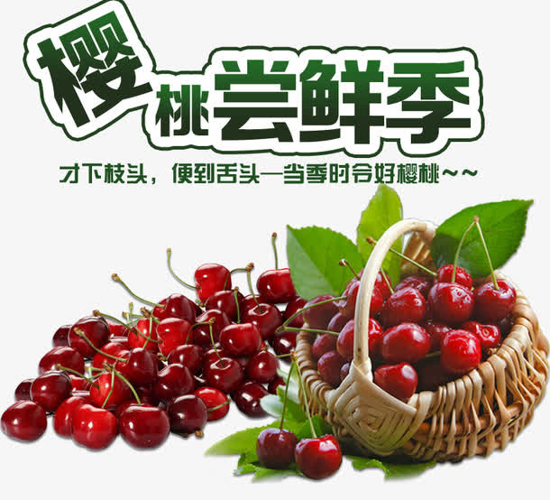樱桃尝鲜季免抠