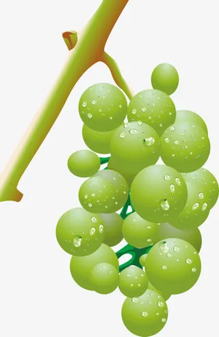 精美水果葡萄串免抠