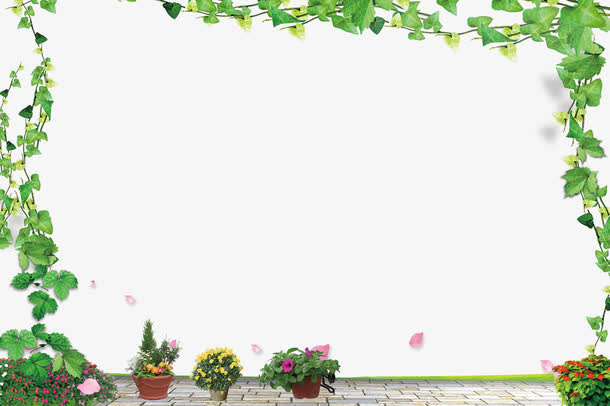 相框常青藤免抠装饰植物元素