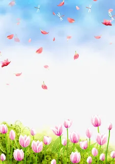 春分节气素材免抠漂浮花瓣元素