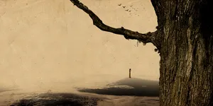 中国风沧桑树干背景素材高清