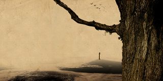 中国风沧桑树干背景素材高清