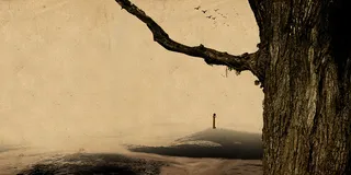 中国风沧桑树干背景素材高清