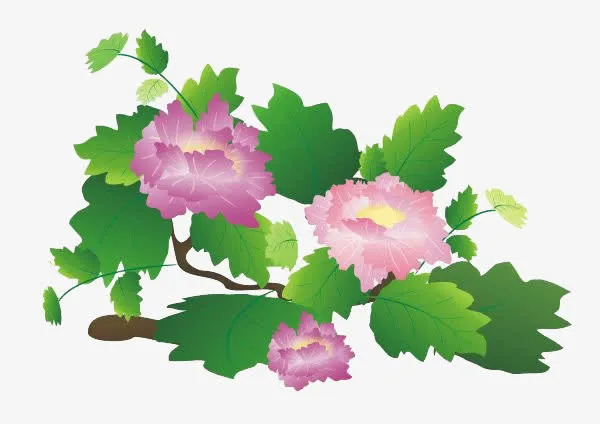 中国风牡丹花免抠