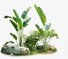 石头芭蕉叶环境素材免抠