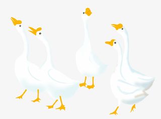 大白鹅 一群鹅免抠