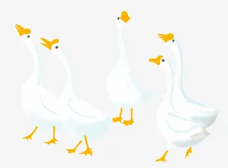 大白鹅 一群鹅免抠