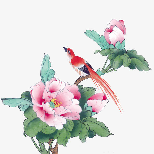 花鸟图免抠