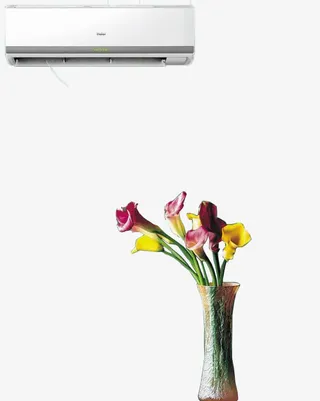 鲜花和空调免抠