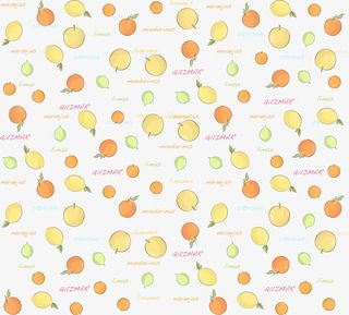 矢量手绘水果背景