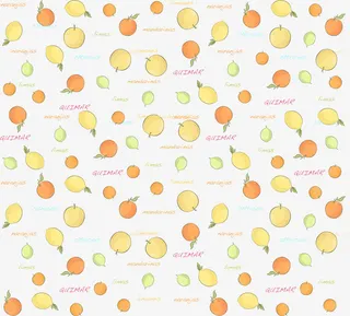 矢量手绘水果背景