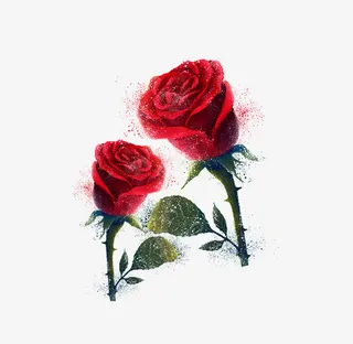 情人节妇女节玫瑰花免抠