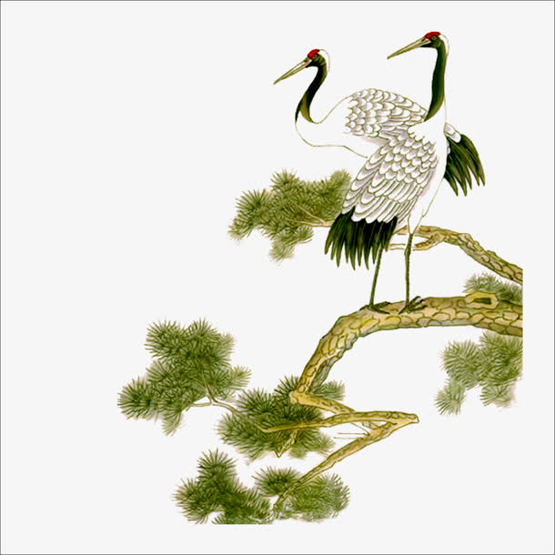 重阳白鹤免抠