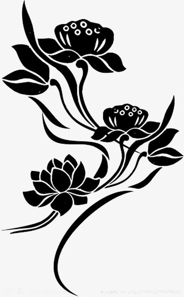 莲蓬免抠