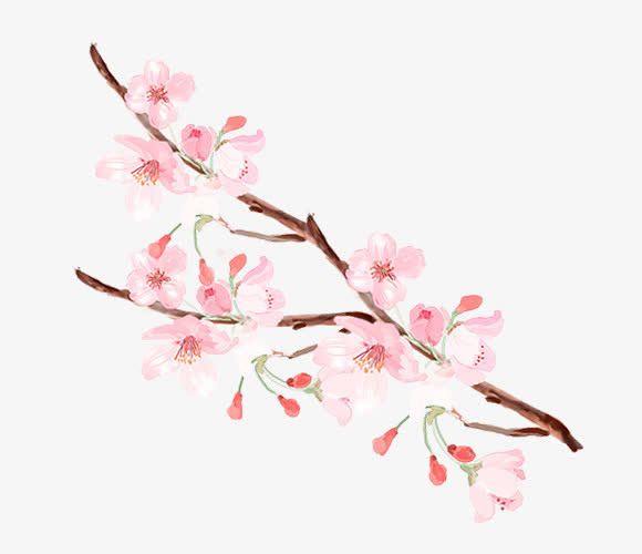 清新唯美手绘一支桃花免抠