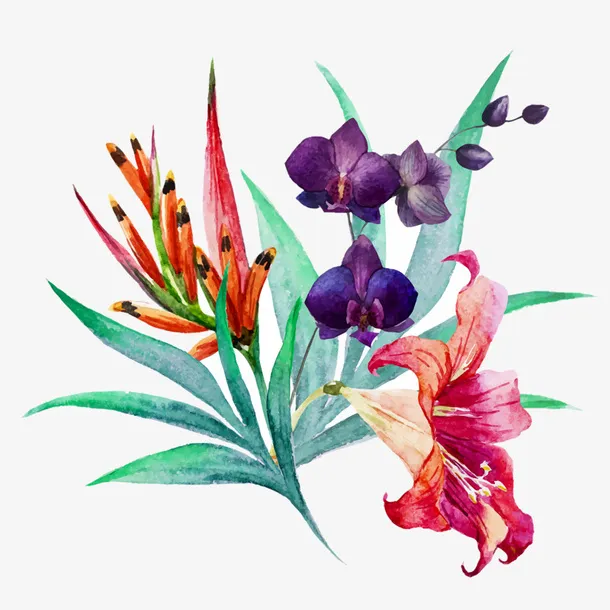 中国风手绘花朵免抠