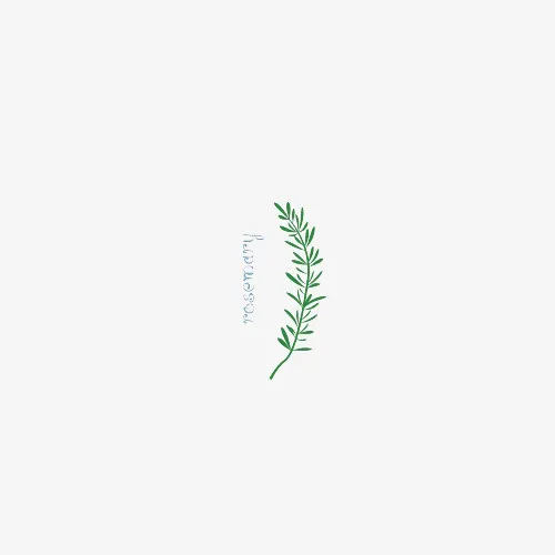 手绘清新绿色迷迭香草本免抠免抠