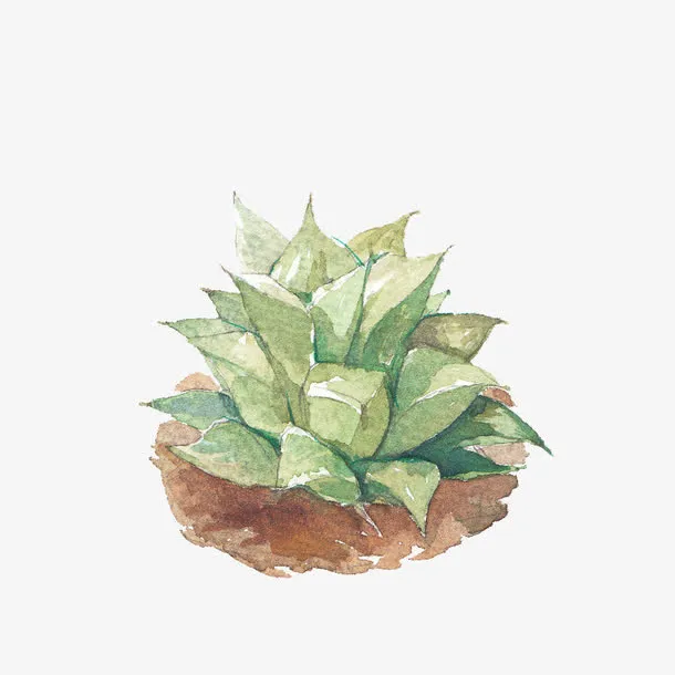 植物免抠