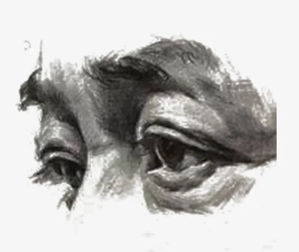 素描眼睛免抠