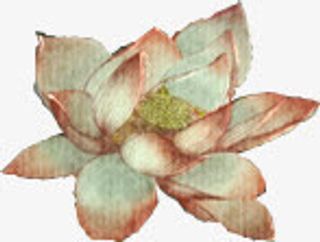 红色花朵彩绘荷花免抠