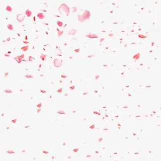 漫天飞的粉色桃花瓣免抠