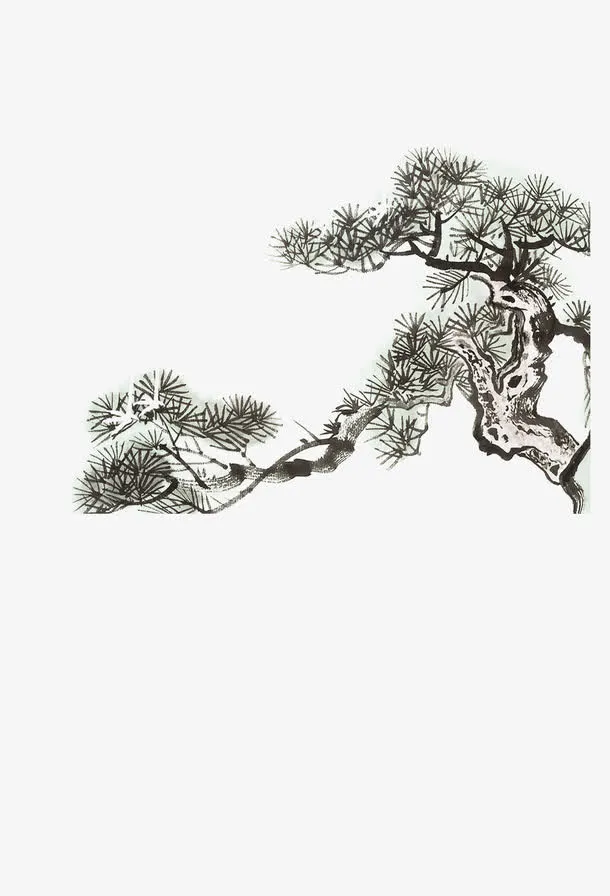 中国画松树免抠