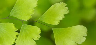 淘宝背景图高清