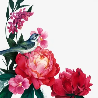 春天装饰花鸟插画素材免抠