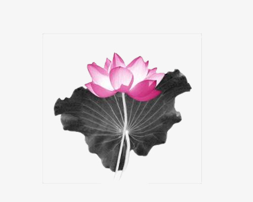 开光道场莲花免抠