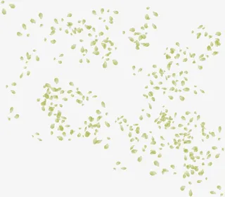 绿色的花瓣背景素材