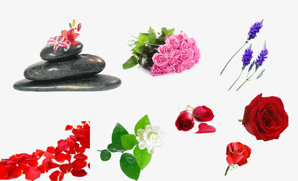 各种花大集合免抠