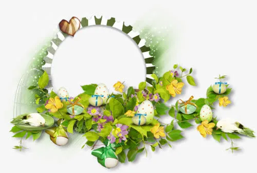 圆形相框png免抠