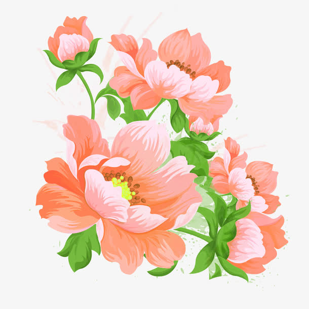鲜花素材免抠
