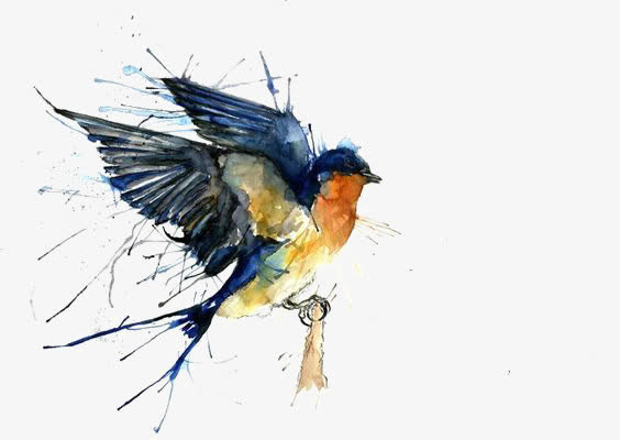 水彩小鸟免抠