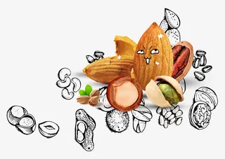 一堆坚果免抠手绘/卡通卡通元素