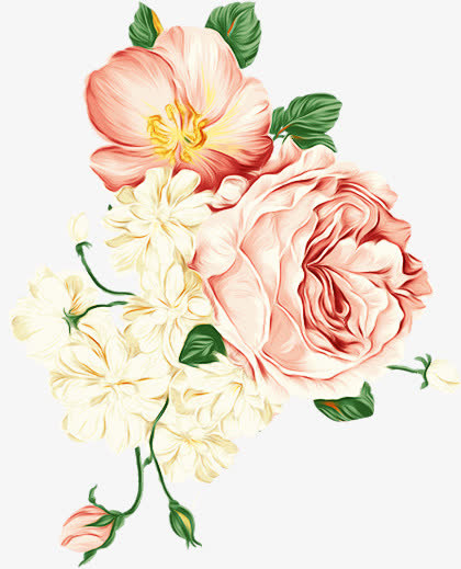 粉色牡丹花免抠