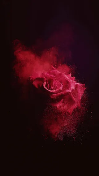 玫瑰花H5背景高清