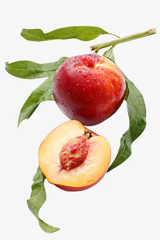 桃子树枝叶子免抠